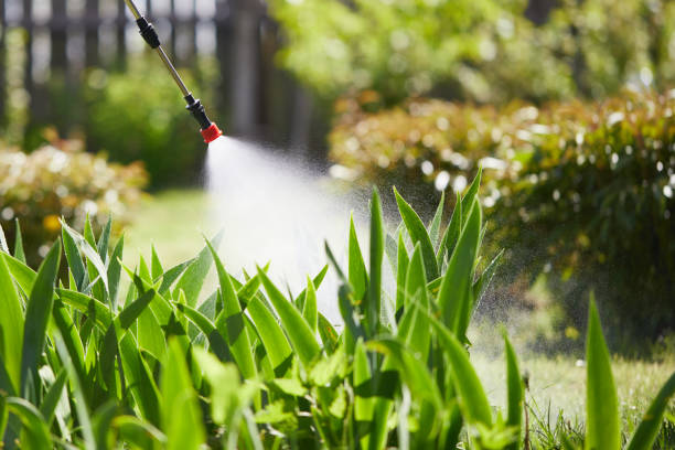 24/7 Emergency Wasp Removal experts in Bremen, OH