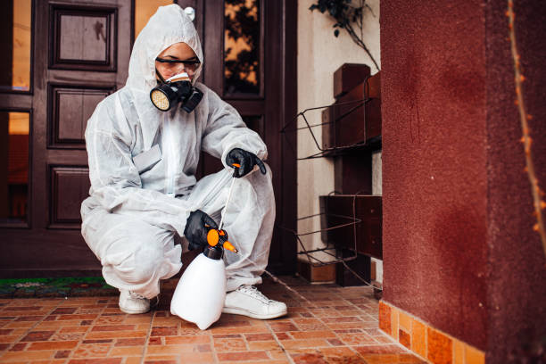 Reliable Wasp Removal contractor in Bremen, OH by Show Me Pest Control