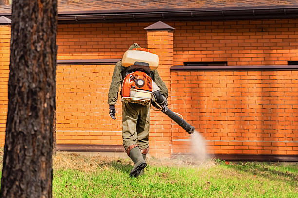 Top rated local Wasp Removal specialists in Bremen, OH